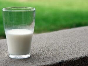 Lactose faz Bem ou Mal?