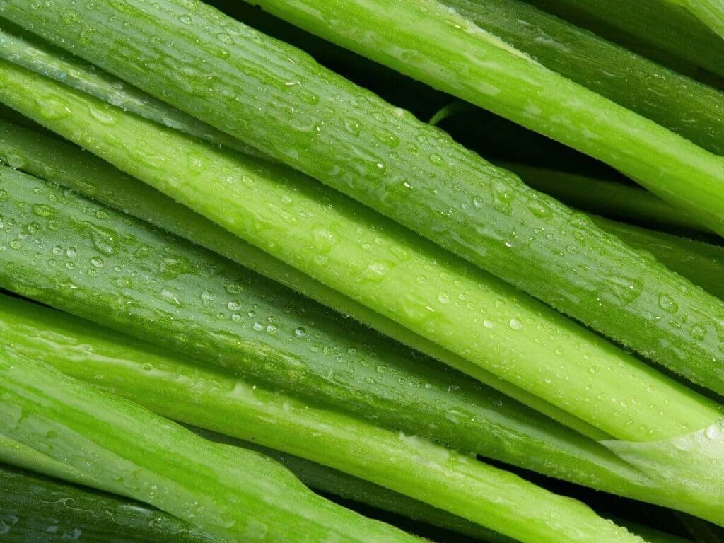 Aprenda a Plantar Cebolinha